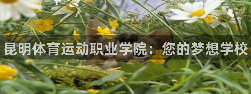 betway西汉姆联官网