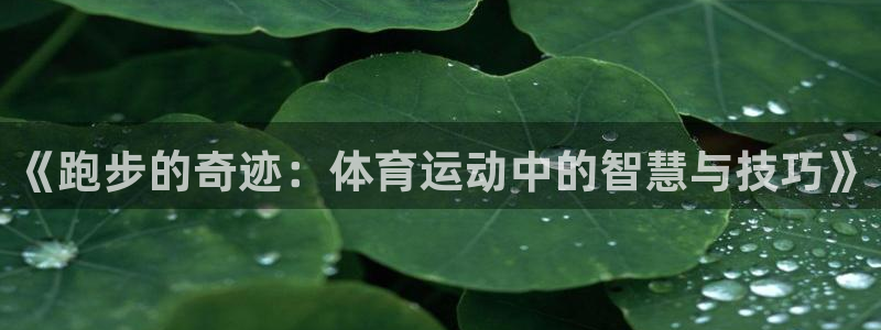 betway西汉姆：《跑步的奇迹：体育运动中的智慧与技巧》