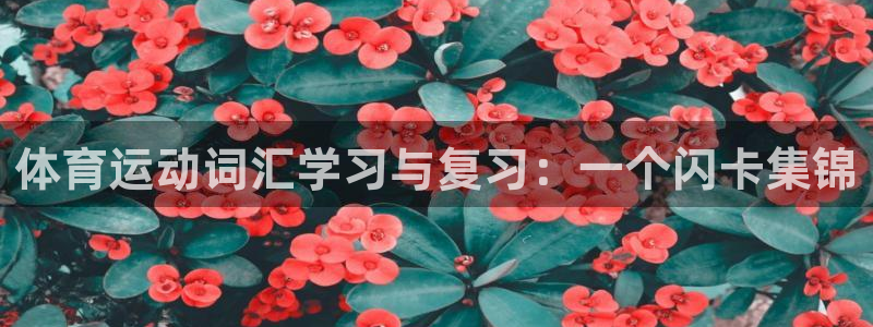 betway西汉姆联官网：体育运动词汇学习与复习：一个闪卡集锦