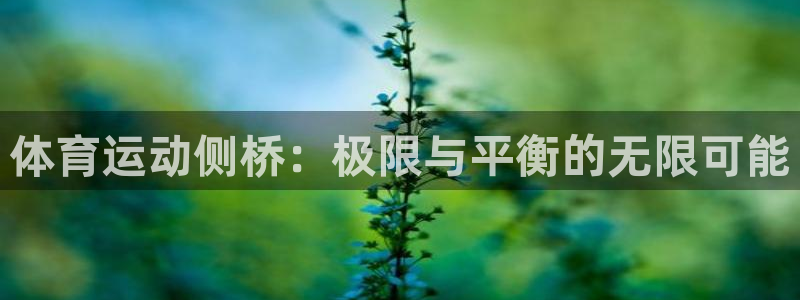 betway西汉姆官网：体育运动侧桥：极限与平衡的无限可能