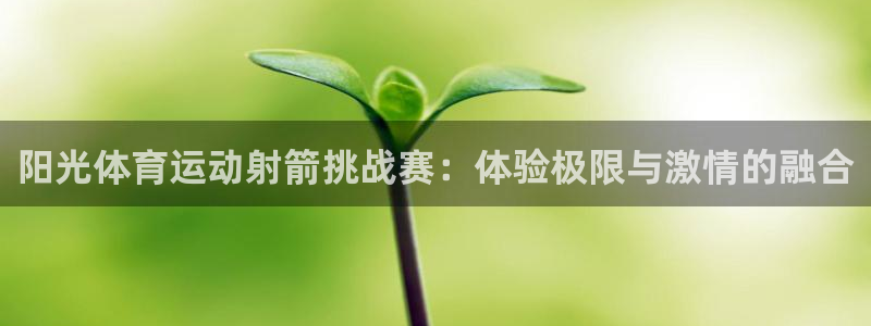 betway西汉姆官网：阳光体育运动射箭挑战赛：体验极限与激情的融合