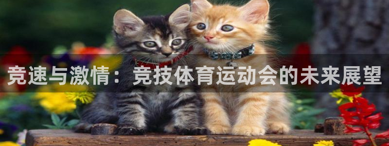 betway西汉姆