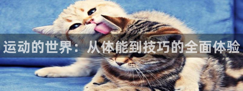 betway西汉姆：运动的世界：从体能到技巧的全面体验